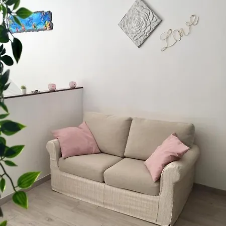 Davidhouse 84 * ראפאלו